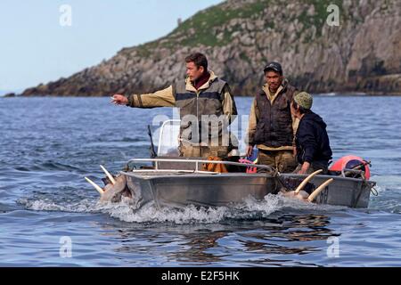 Russland-Tschukotka autonomen Bezirk Beringmeer Preobrazheniya Bay in der Nähe von Kap Dezhnev (Kalifornien Punkt von der eurasischen Stockfoto