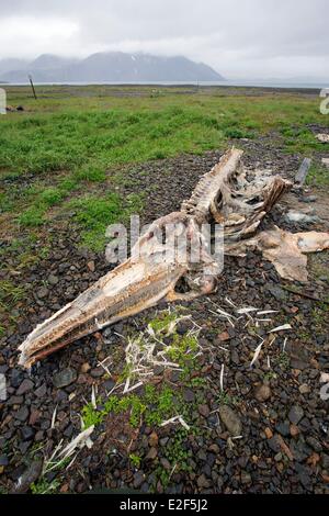 Russland-Tschukotka autonomen Bezirk Beringmeer Preobrazheniya Bay in der Nähe von Kap Dezhnev (Kalifornien Punkt von der eurasischen Stockfoto