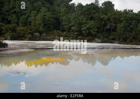 Neuseeland, Nordinsel, Rotorua, Taupo vulkanische Zone. Waiotapu geothermische Park. Stockfoto