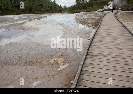 Neuseeland, Nordinsel, Rotorua, Taupo vulkanische Zone. Waiotapu geothermische Park. Stockfoto