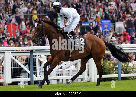 Ascot, Berkshire, UK. 19. Juni 2014.  Altano mit Eduardo Pedroza, bei der Parade-Galopp. Ascot Racecourse. (Pferd, Jockey, Altano, Pedroza, Aufgalopp) 583D190614ROYALASCOT. JPG-Credit: Frank Sorge/Caro/Alamy Live-Nachrichten Stockfoto