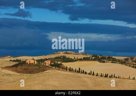 Italien, Toskana, Siena Landschaft, Landschaft mit Rillen, Mucigliani Stockfoto