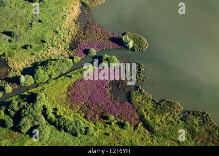 Frankreich, Yvelines, Trappes En Yvelines, Freizeit und Natur Reservat von Saint Quentin En Yvelines (Luftbild) Stockfoto