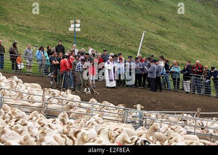 Frankreich-Hautes Pyrenäen Col du Tourmalet Weidewirtschaft fest Segen der Schafe zu hüten, von einem katholischen Priester vor begleiten Stockfoto