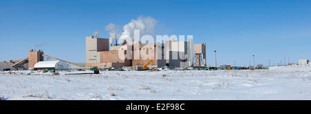 Kanada, Saskatchewan, Colonsay, Mosaik Kaliwerk Stockfoto