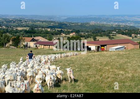 Frankreich Loire Parc Naturel Regional du Pilat (natürlichen regionalen Park von Pilat) Pelussin Produktion von GLÖZ De La Cabriole Stockfoto