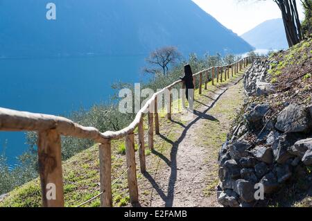 Schweiz, Tessin, Gandria, Pfad entlang den nördlichsten Olivenbäumen in Europa Stockfoto