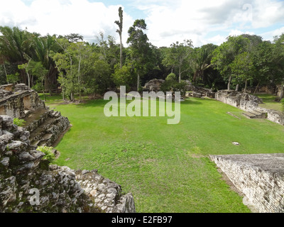 Ruinen der Maya-Tempel in Kohunlich, Mexiko Stockfoto