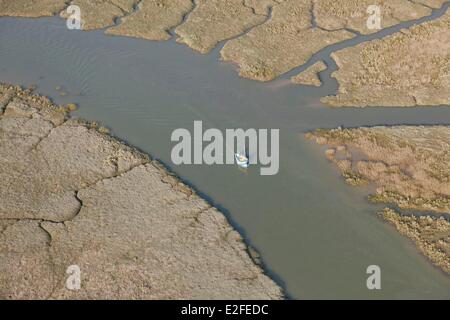 Frankreich, Somme, Baie de Somme, Kanäle in Salzwiesen (Luftbild) Stockfoto