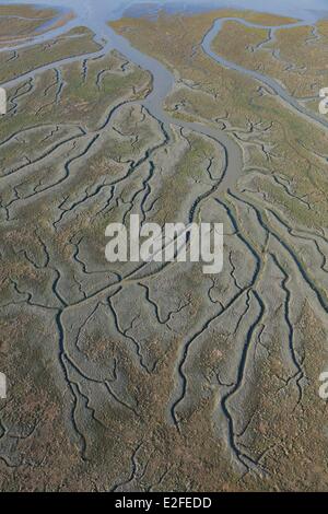 Frankreich, Somme, Baie de Somme, Saint Valery Sur Somme, Kanäle in Salzwiesen (Luftbild) Stockfoto