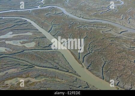 Frankreich, Somme, Baie de Somme, Saint Valery Sur Somme, Kanäle in Salzwiesen (Luftbild) Stockfoto