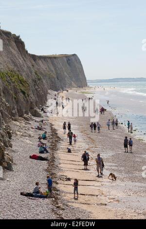 Frankreich, Pas de Calais, Côte Opale, Parc Naturel regional des Caps et Marais Opale, Cap Blanc Nez, Kalksteinfelsen Stockfoto