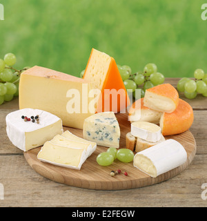 Platte mit Camembert, Gouda, Berg und Schweizer Käse auf einem Holzbrett Stockfoto