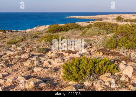 Zypern, Famagusta Bay, Cape Greko, National Forest Park Stockfoto