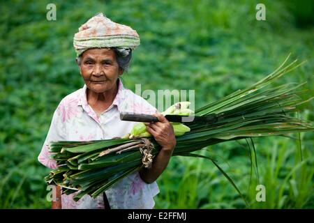 Indonesien, Bali, Ubud, alte Frau in Ayun Schluchten Stockfoto