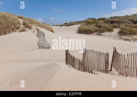 Pas-De-Calais, Frankreich Côte Opale, Le Touquet Dünen Stockfoto