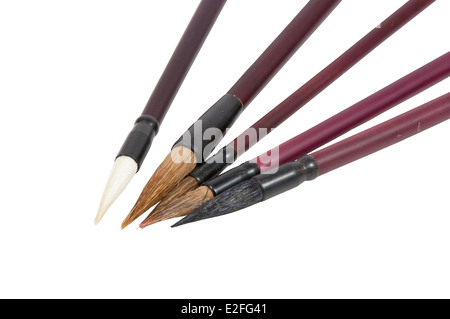 fünf chinesische Kalligraphie-Pinsel mit braunen griffen Stockfoto