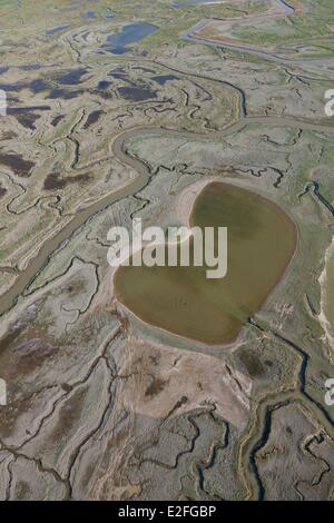 Kanäle in Salzwiesen und herzförmige Teich (Luftbild), Baie de Somme, Somme, Frankreich Stockfoto