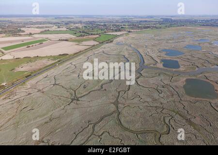 Frankreich, Somme, Baie de Somme, Kanäle in Salzwiesen (Luftbild) Stockfoto