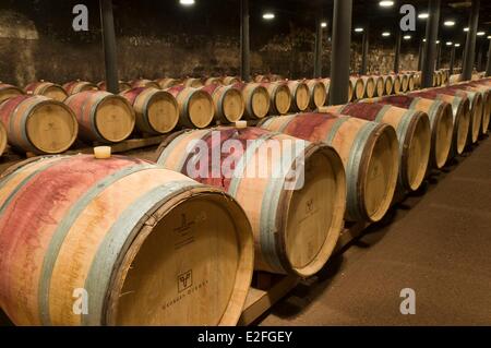 Frankreich, Saone et Loire, Romaneche Thorins, Hameau Duboeuf, Themenpark über Beaujolais und Bourgogne Wein Stockfoto