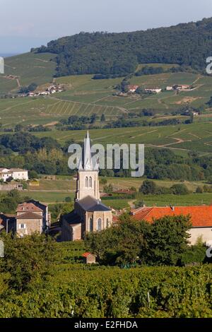 Frankreich, Rhone, Quincie-En-Beaujolais, Beaujolais Weinberg Stockfoto