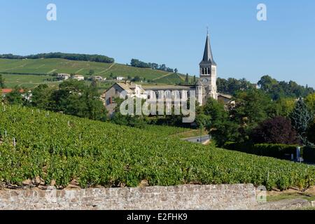 Frankreich, Rhone, Chenas Dorf, Beaujolais Weinberg Stockfoto