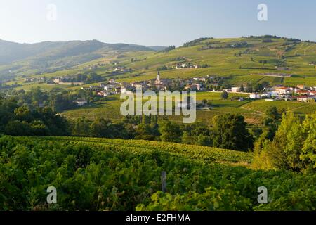 Frankreich, Rhone, Julienas Dorf, AOC Beaujolais Weinberg Stockfoto