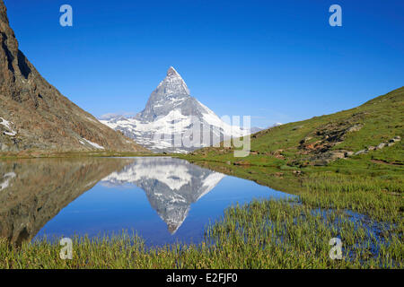 Schweiz, Kanton Wallis, Zermatt, Matterhorn (4478m) vom Riffelsee See Stockfoto