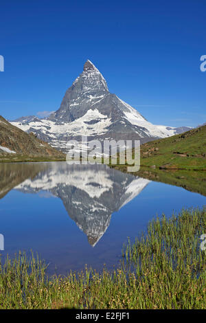 Schweiz, Kanton Wallis, Zermatt, Matterhorn (4478m) vom Riffelsee See Stockfoto