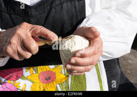 Slowenien Kamnik Talebene der Velika Planina Hochebene mit traditionellen Hirten Haus gemacht Holz Frau Reska männlichen 88 Jahre Stockfoto