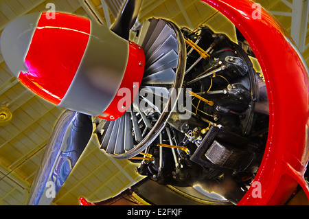 WWII Warbirds, Kampfflugzeuge von Falcon Field Aviation in Mesa, Arizona gelegen Stockfoto