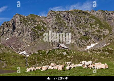 Frankreich, Pyrenees Atlantiques, Wandern in den Pyrenäen, rund um die Ayous Seen, Gentau See und Ayous Zuflucht Stockfoto