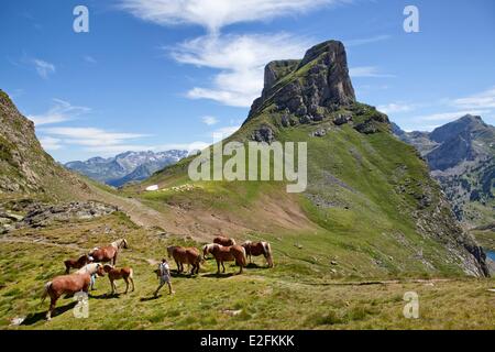 Frankreich, Pyrenees Atlantiques, Wandern in den Pyrenäen, rund um den Ayous Seen Casterau Gipfel Stockfoto