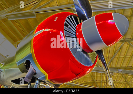 WWII Warbirds, Kampfflugzeuge von Falcon Field Aviation in Mesa, Arizona gelegen Stockfoto