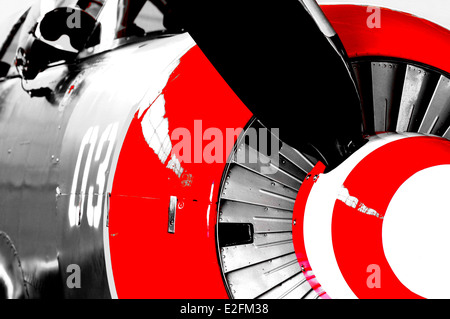 WWII Warbirds, Kampfflugzeuge von Falcon Field Aviation in Mesa, Arizona gelegen Stockfoto