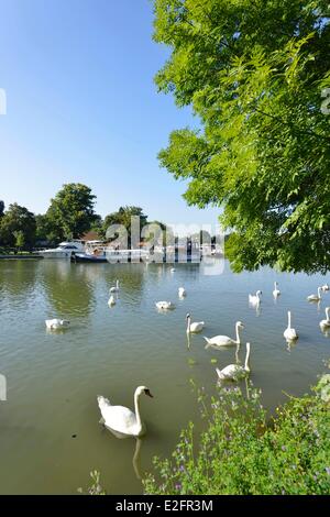 Frankreich Mosel Metz den Plan d ' Eau mit der marina Stockfoto