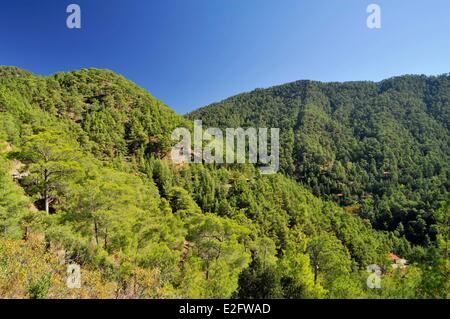 Zypern Paphos District Stavros Tis Psokas Blickrichtung Dorf Troodos-Gebirge und grün Stockfoto