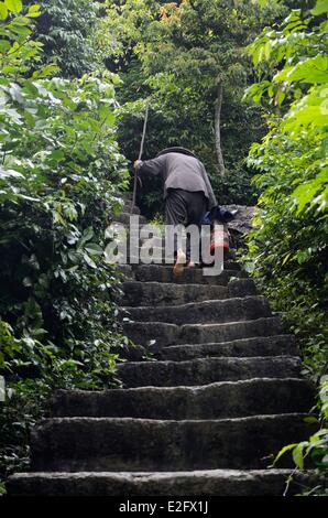 Ninh Binh Province: Vietnam-Bereich den Spitznamen im Landesinneren Halong Bay Ninh Binh karstigen Felsen Landschaft Frau eine Treppe klettern Stockfoto