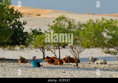 Vietnam Binh Thuan Provinz in der Nähe von Mui Ne Sheperd vor Sanddünen Stockfoto