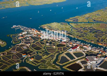 Frankreich Charente Maritime La Tremblade La Greve Auster Hafen in der Nähe des Flusses Seudre (Luftbild) Stockfoto