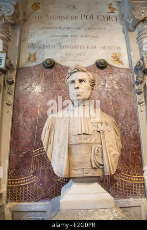 Frankreich Seine Maritime Rouen Museum of Natural History Statue von Felix Archimede Pouchet Direktor und Foundator des Museums Stockfoto