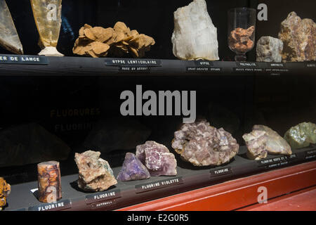 Frankreich Seine Maritime Rouen Museum of Natural History Paläontologie Zimmer Stockfoto