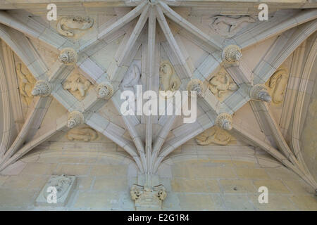 Frankreich-Indre et Loire Loiretal Weltkulturerbe von UNESCO Azay le Rideau Azay le Rideau Schloss Detail einer Fliege mit Stockfoto