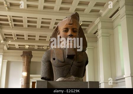 Großbritannien London Bloomsbury British Museum Kopf von Ramses II aus dem Ramesseum westliche Theben 1270 v. Chr. Stockfoto