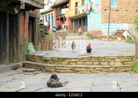 Straßenszene bei Sonnenuntergang mit Menschen Schatting beim Sitzen auf ihren house.s Türen. Bandipur-Nepal. Stockfoto