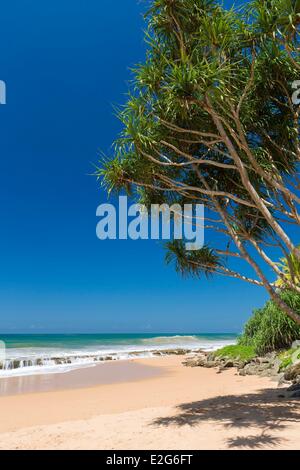 Sri Lanka Südprovinz Galle Ortsteil Kosgoda beach Stockfoto