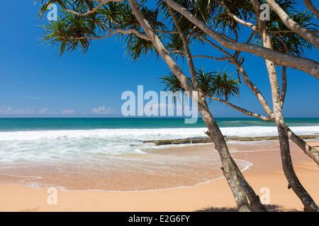 Sri Lanka Südprovinz Galle Ortsteil Kosgoda beach Stockfoto