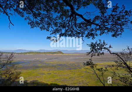 Kanada-Quebec Provinz Chaudiere-Appalaches Region L'Isle Aux Grues Pointe Aux Pins Wandern im Jean-Paul Riopelle Nature reserve Stockfoto