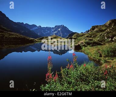 Frankreich Hautes Alpes Ecrins Nationalpark Tal der Valgaudemar Sirac (3441m) spiegelt sich in Lake Lauzon (2022 m) Stockfoto