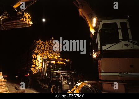 Kanada Quebec Provinz Saguenay Lac Saint-Jean Knuckleboom Log Loader laden die Protokolle auf einem Anhänger der planetarischen LKW Nacht Stockfoto